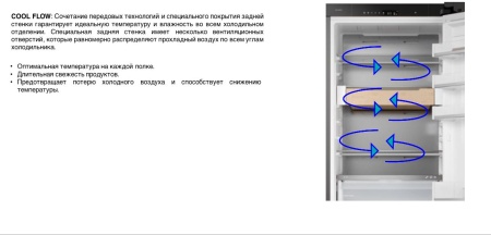 Холодильник ASKO RBC597SND1 купить с доставкой по Москве и Московской области в интернет-магазине ЕвроТехно