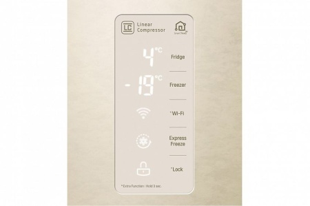 Холодильник LG GC-B247SEDC купить с доставкой по Москве и Московской области в интернет-магазине ЕвроТехно