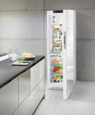 Холодильник Liebherr KBPgw 4354 купить с доставкой по Москве и Московской области в интернет-магазине ЕвроТехно